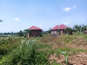 Plot for Sale in Busika
