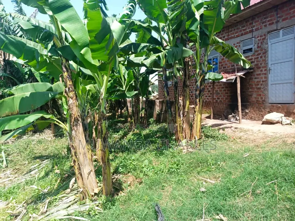 Plot for Sale in Busika