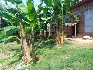 Plot for Sale in Busika