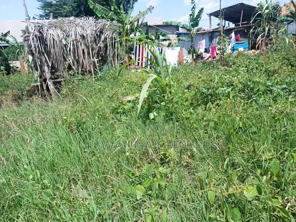 Plot for Sale in Busika