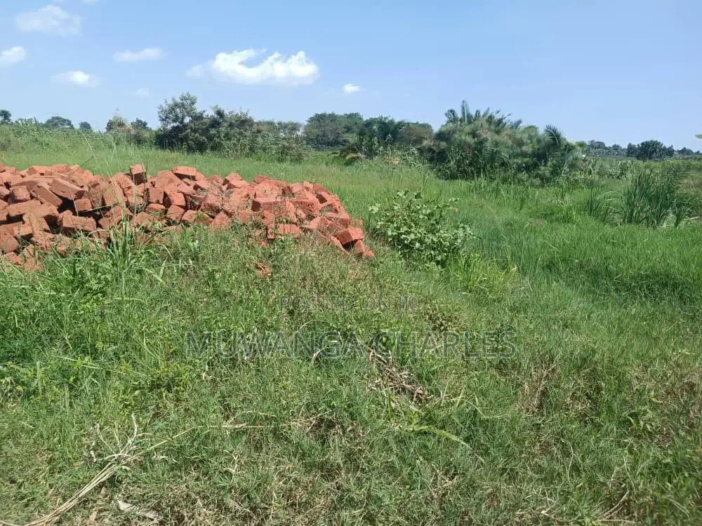 Plot for Sale in Busika