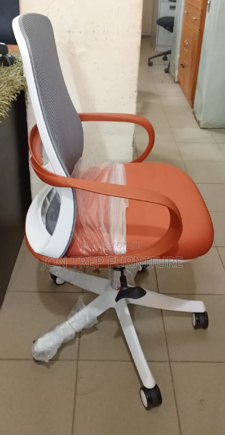 Executive Office Chair Mesh Adjustable
