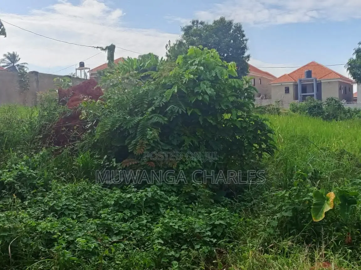 12decimals Plot of Land for Sale in Kimwanyi