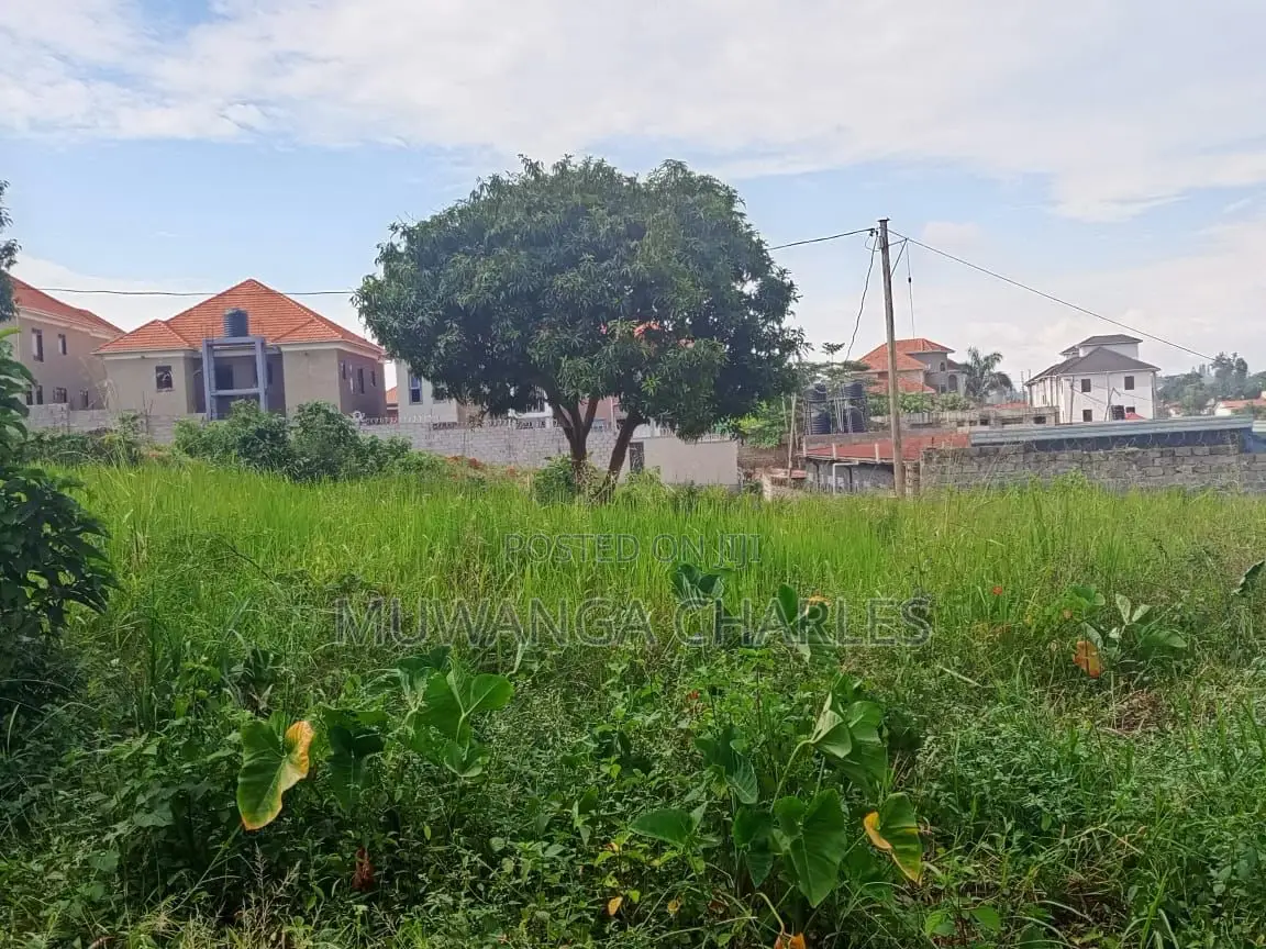 12decimals Plot of Land for Sale in Kimwanyi