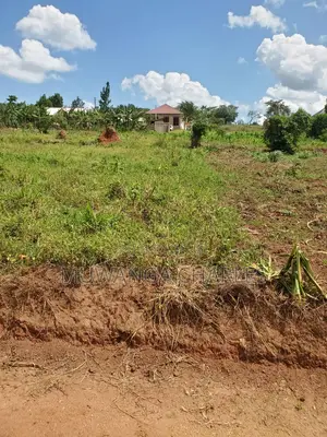 12decimals Plot of Land for Sale in Kimwanyi