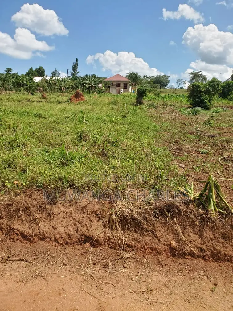 12decimals Plot of Land for Sale in Kimwanyi