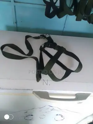 Dog Harness