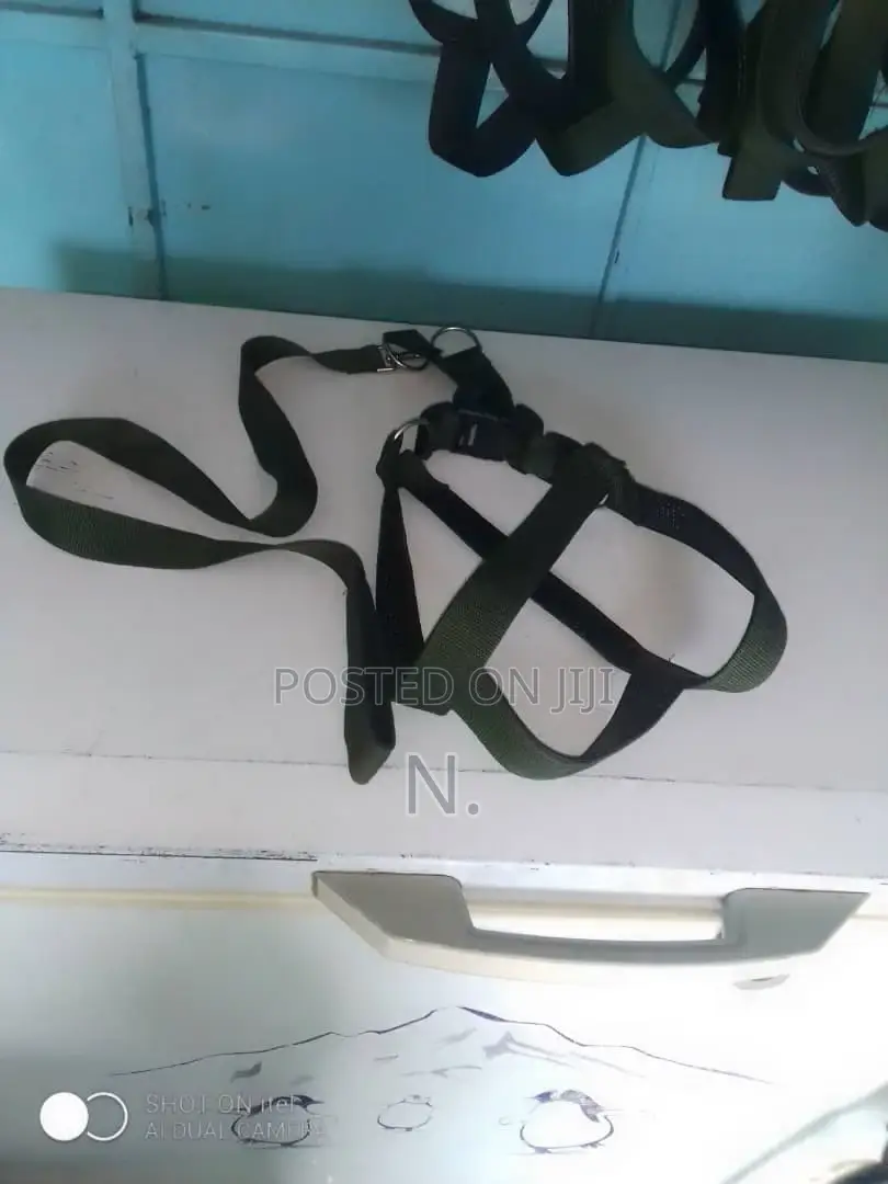 Dog Harness