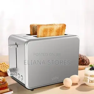 Stainless Steel 2 Slice Winning-Star