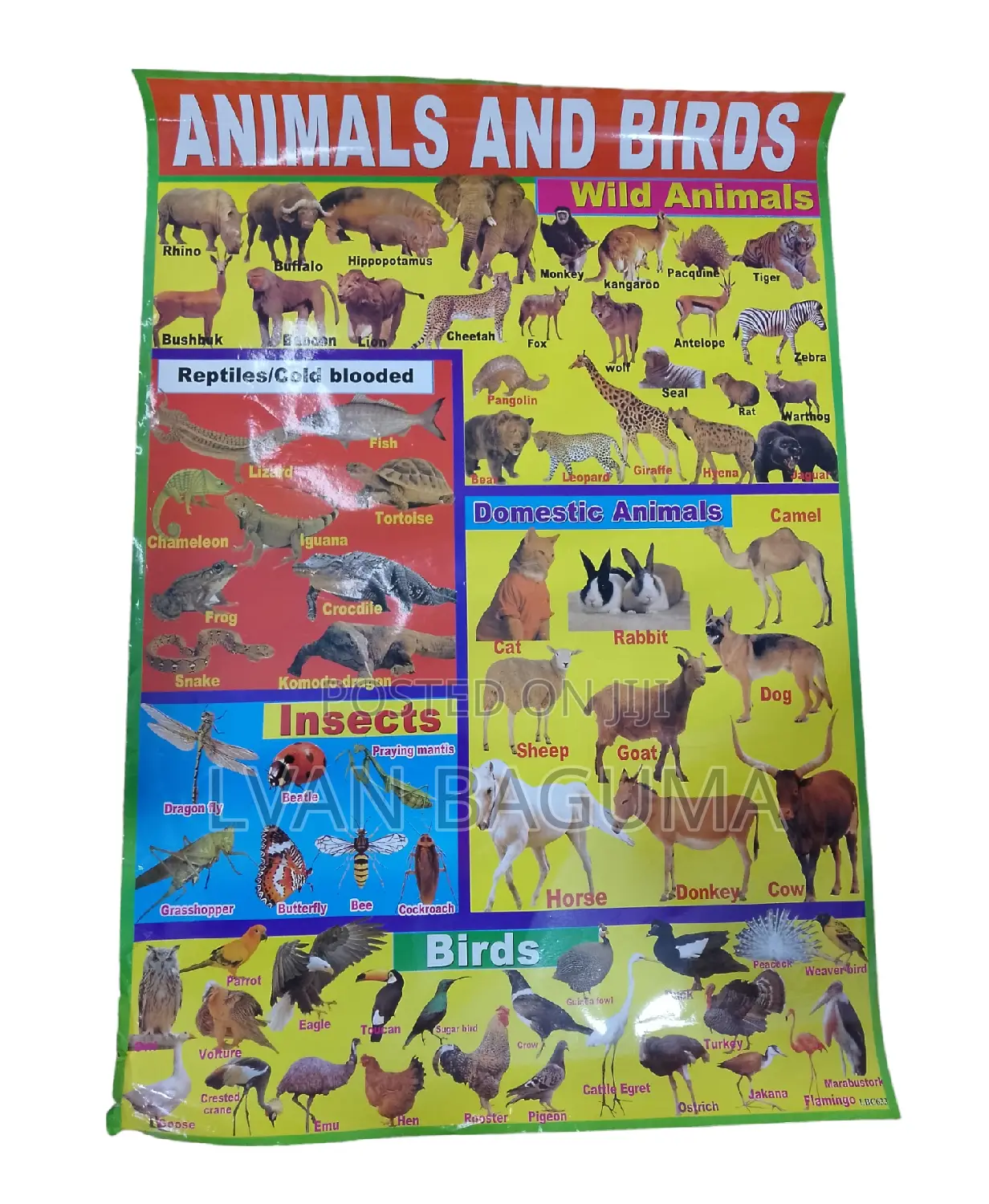 Animals and Birds Chart for Kid - Polythene Waterproof Chart