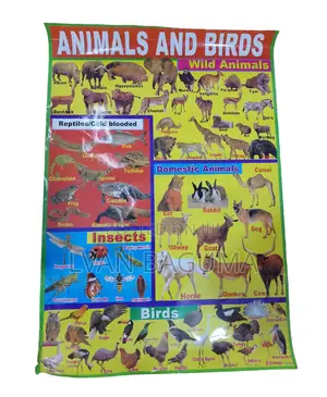 Animals and Birds Chart for Kid - Polythene Waterproof Chart