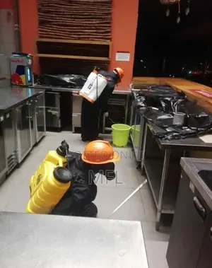 Restaurant/Bar/Cockroaches/Ants/Insect Fumigation