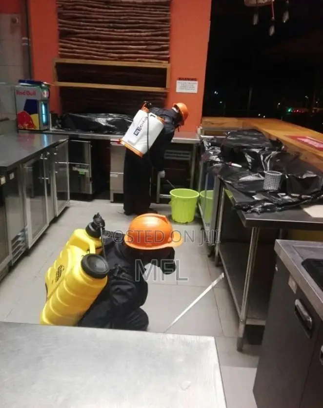Restaurant/Bar/Cockroaches/Ants/Insect Fumigation