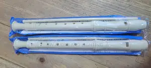 Recorder /Instrument /Flute