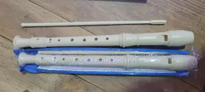 Recorder /Instrument /Flute