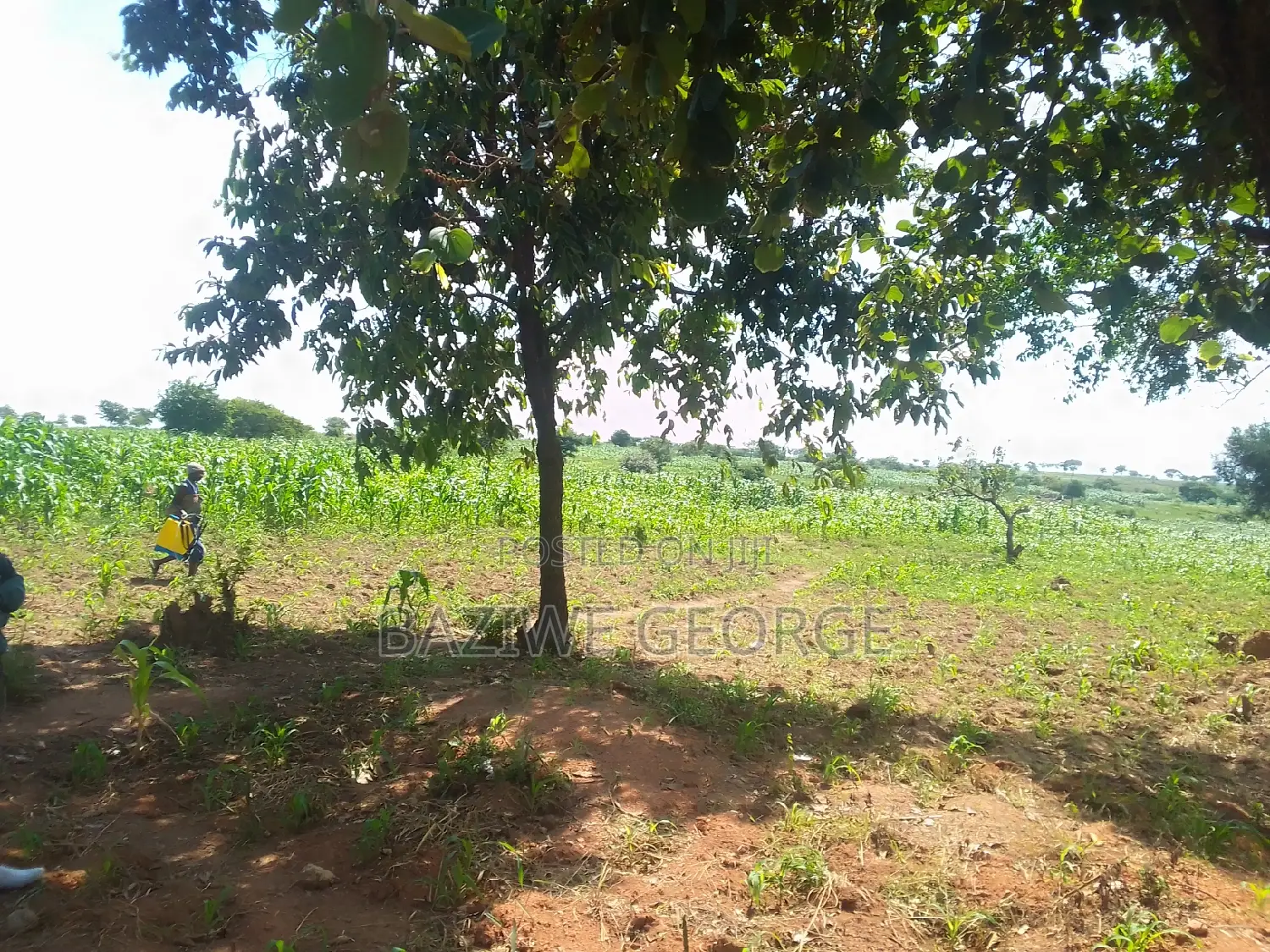 100 Acreas Near The Airport Hoima