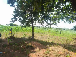 100 Acreas Near The Airport Hoima