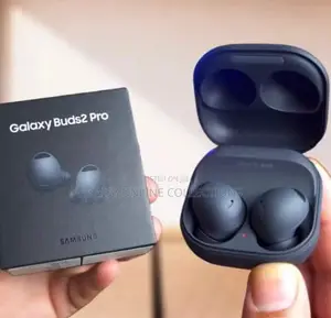 Samsung Galaxy Buds2 Pro Gray