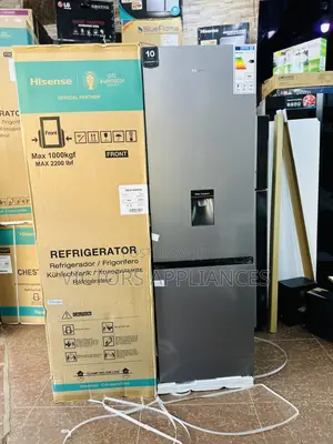 Hisense 341L Refrigerator With Water Dispenser