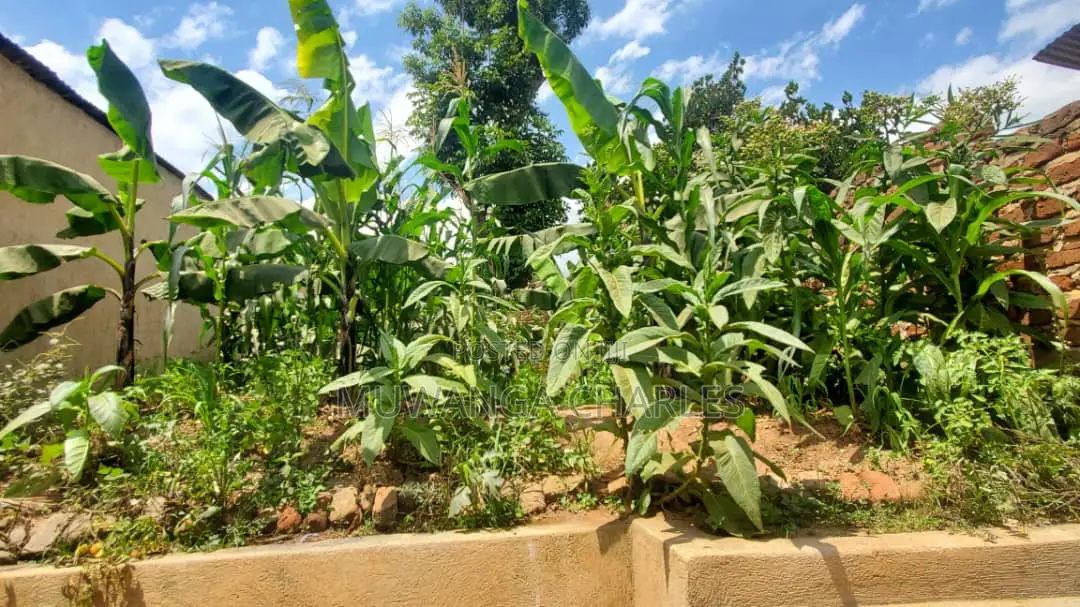 10acres of Land for Sale in Kalule