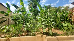 10acres of Land for Sale in Kalule