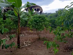 10acres of Land for Sale in Kalule