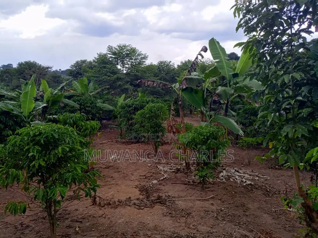 10acres of Land for Sale in Kalule