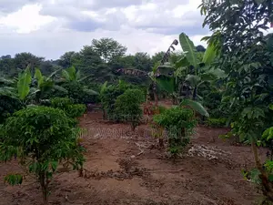10acres of Land for Sale in Kalule