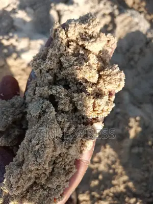 40 Tonne Sinotruck of White Lake Sand From Lake Victoria