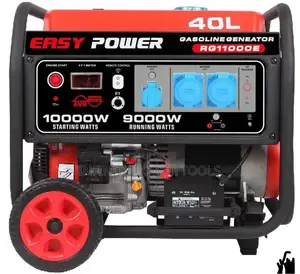 Easy Power Generator RG11000E