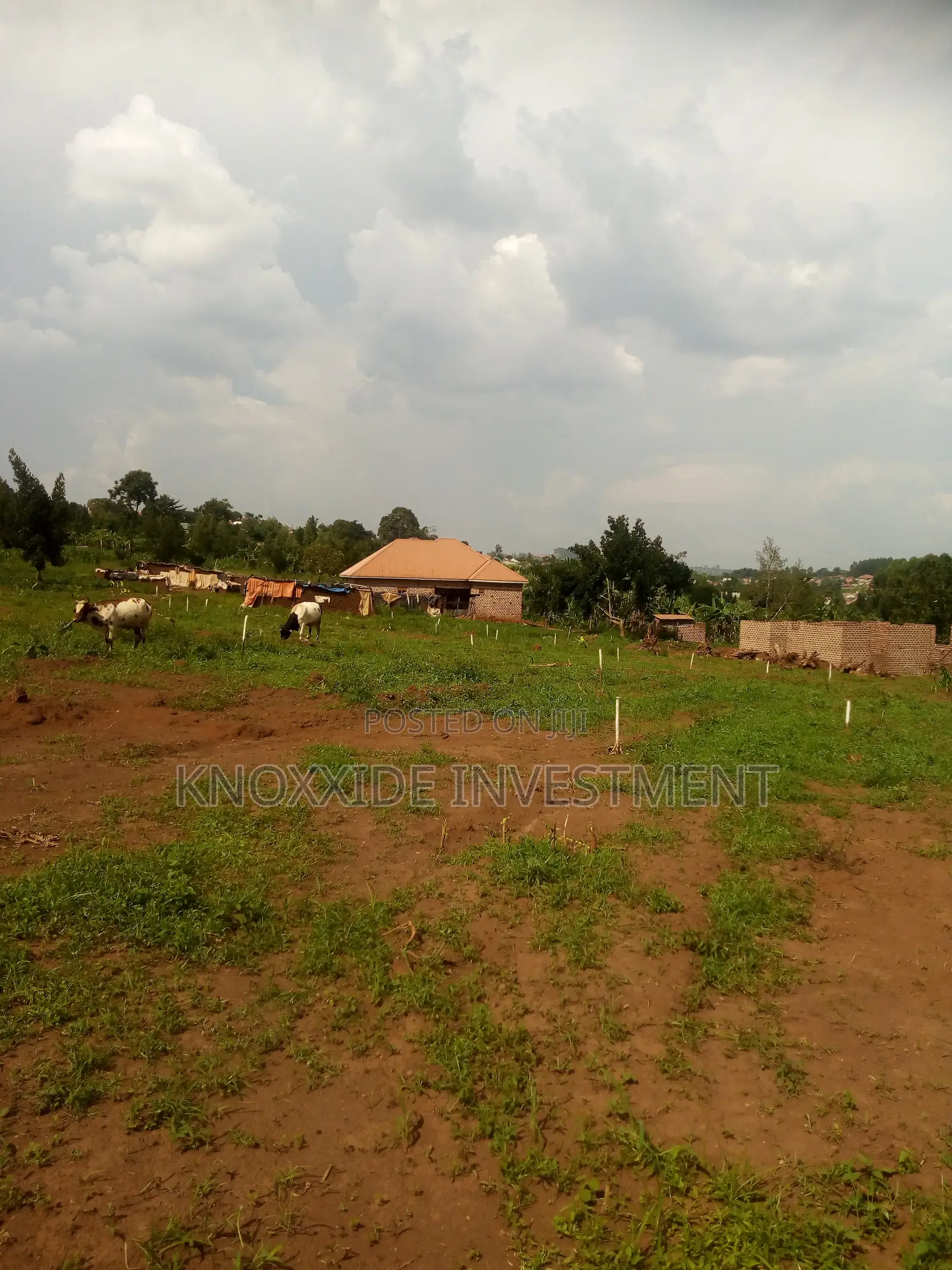 Plot for Sale 100x40ft at 20m Ugx Lukanga Town Sentema Road