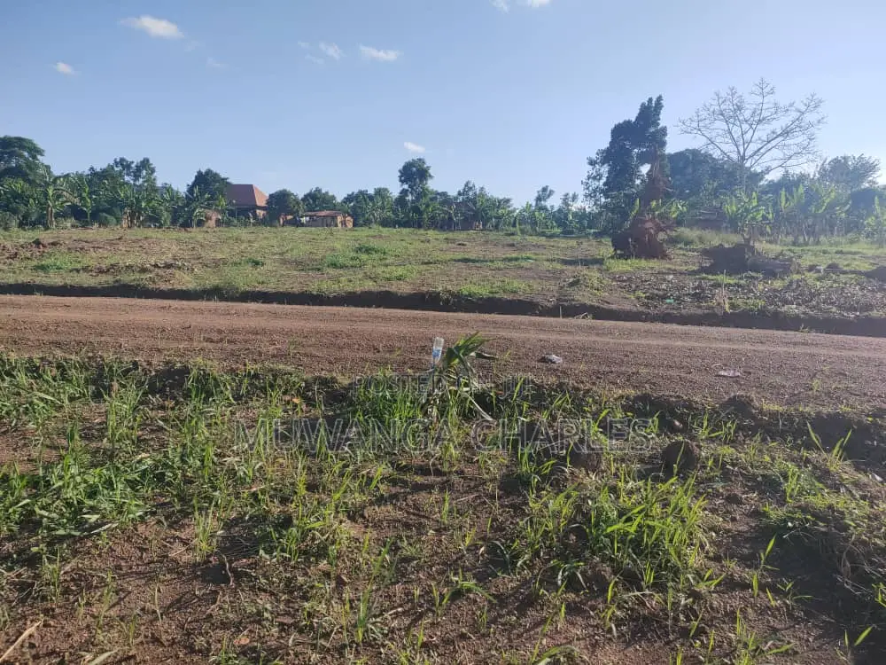 100by50ft Plot for Sale in Busukuma