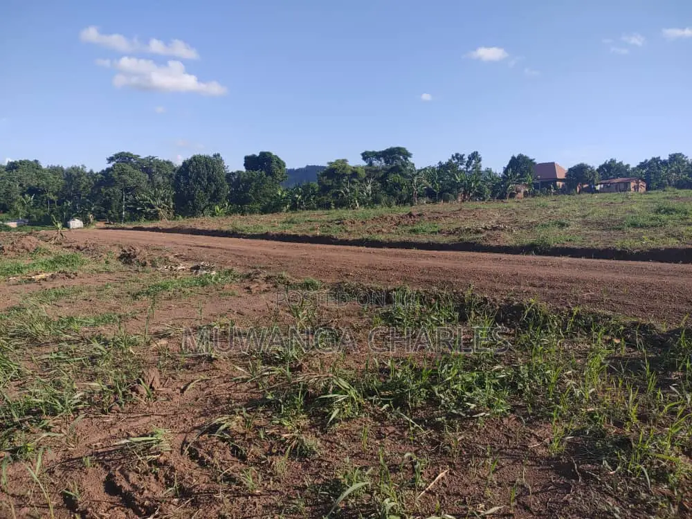 100by50ft Plot for Sale in Busukuma
