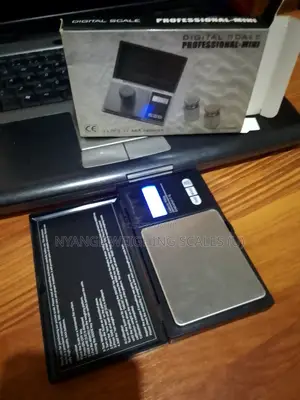 Hot Sale Weighing Scale 1kg/0.1g Portable Weigh Pocket Weighing Scale