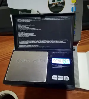 1000g/0.1g Weighing Scale Portable Weigh Digital Micro Weighig Scale
