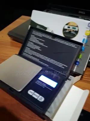 1kg/0.1g Weigh Pocket Weighing Scale Digital Mineral Weighing Scale