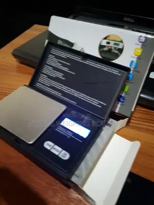 1kg/0.1g Weigh Micro Pocket Weighing Scale Mineral Weighing Scale