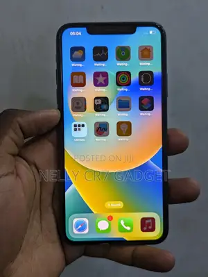Apple iPhone 11 Pro Max 256 GB Gray