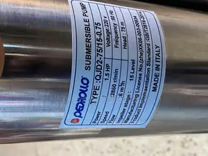 Pederollo Water Pump