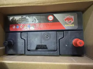 N60/45ah Rhino Battery