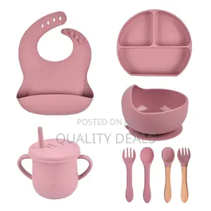 Baby Silicone Feeding Set