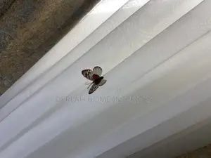 Quality Curtain Nets