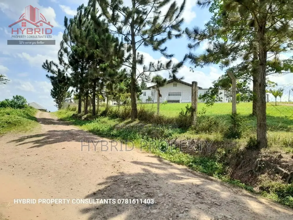 Prime Plots for Sale at Kakiri~Kambe Executive Land Estate.
