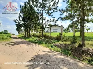 Prime Plots for Sale at Kakiri~Kambe Executive Land Estate.
