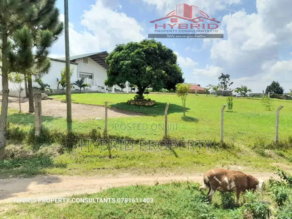 Prime Plots for Sale at Kakiri~Kambe Executive Land Estate.