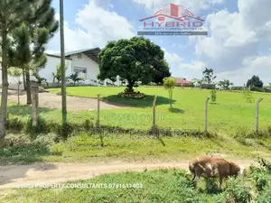 Prime Plots for Sale at Kakiri~Kambe Executive Land Estate.