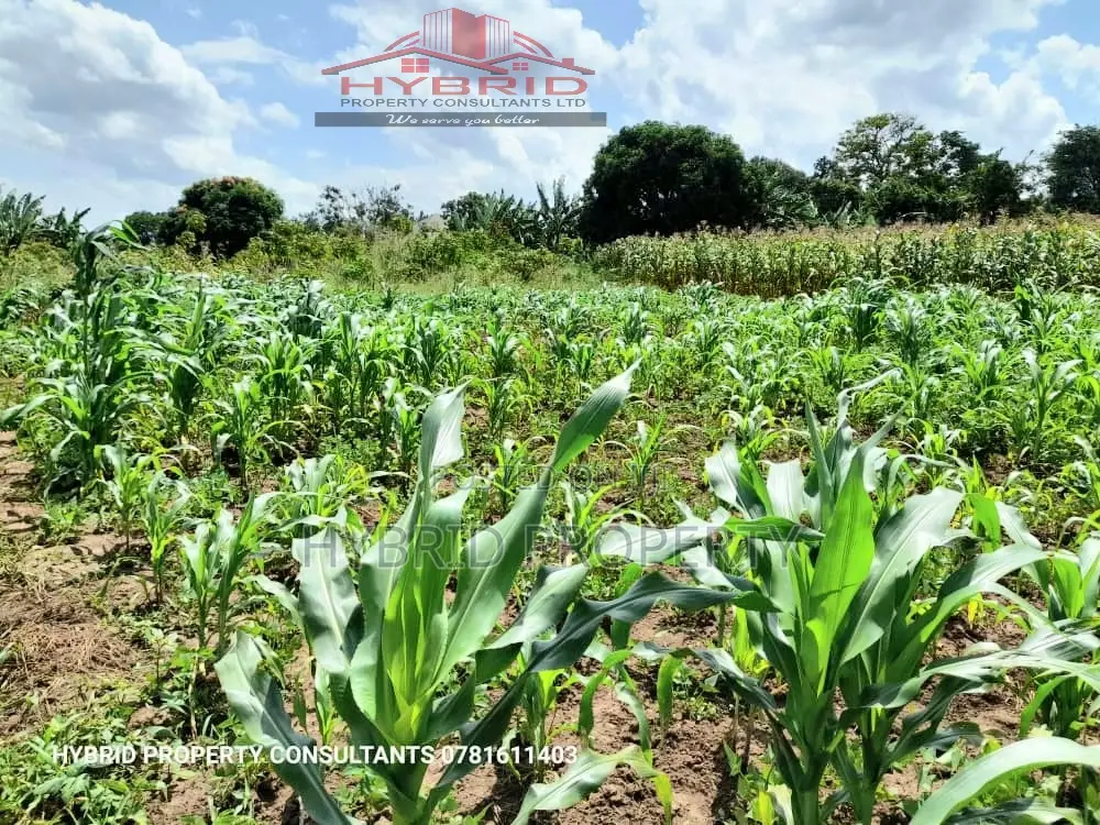 Prime Plots for Sale at Kakiri~Kambe Executive Land Estate.