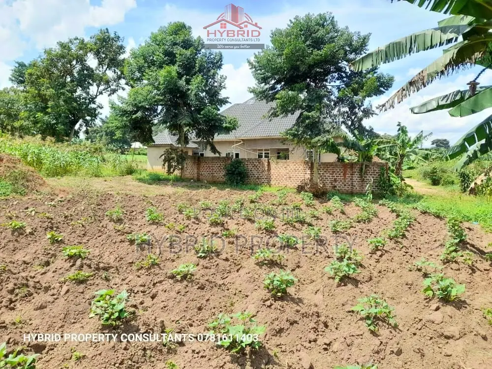 Prime Plots for Sale at Kakiri~Kambe Executive Land Estate.