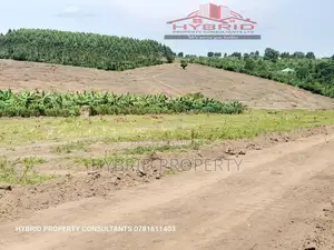 Cheap Prime Plots for Sale at Bulamu~Jezza Along Mityana Rd.