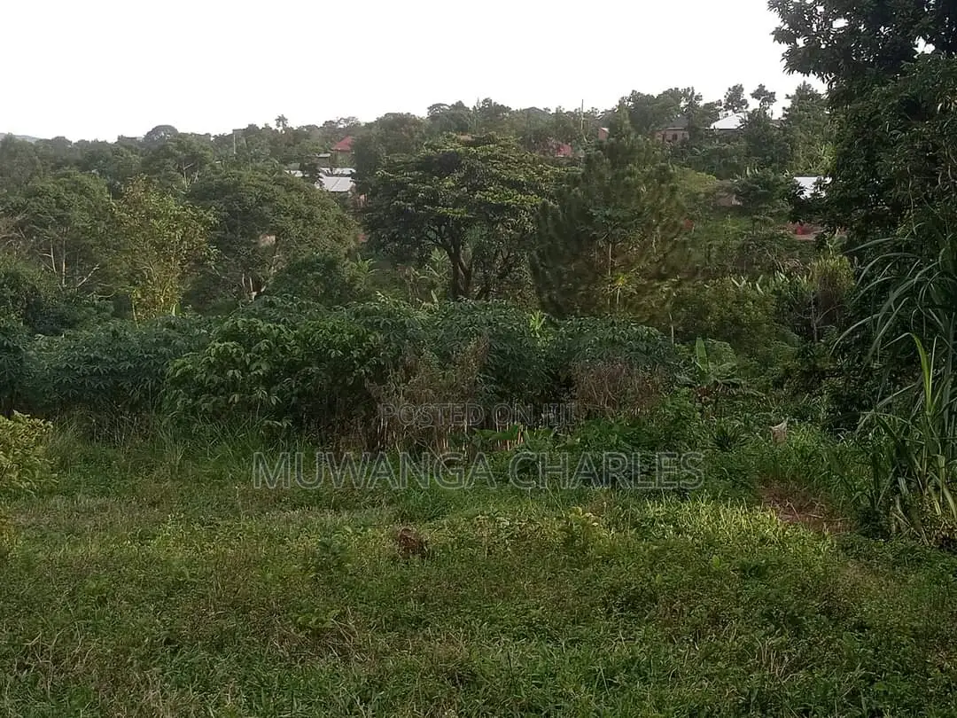 5acres of Land for Sale at Busika